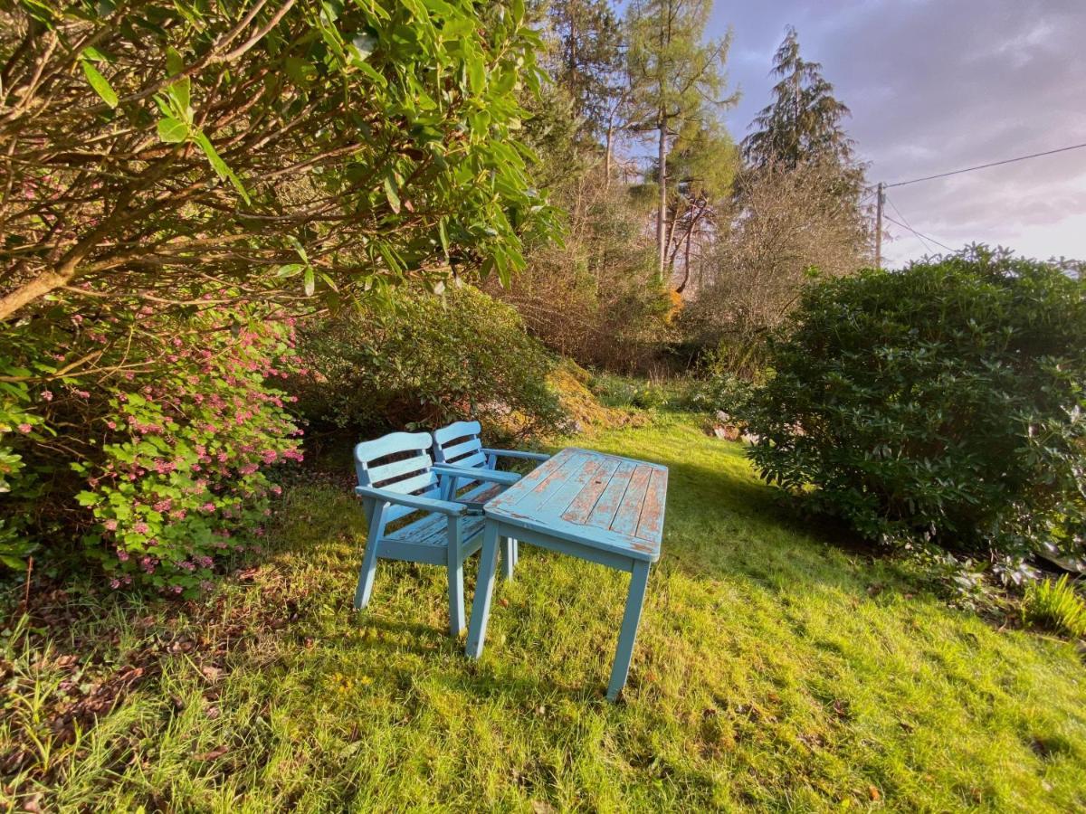 Tyn Y Fron 6 Bedroom House In Betws-Y-Coed Snowdonia 외부 사진