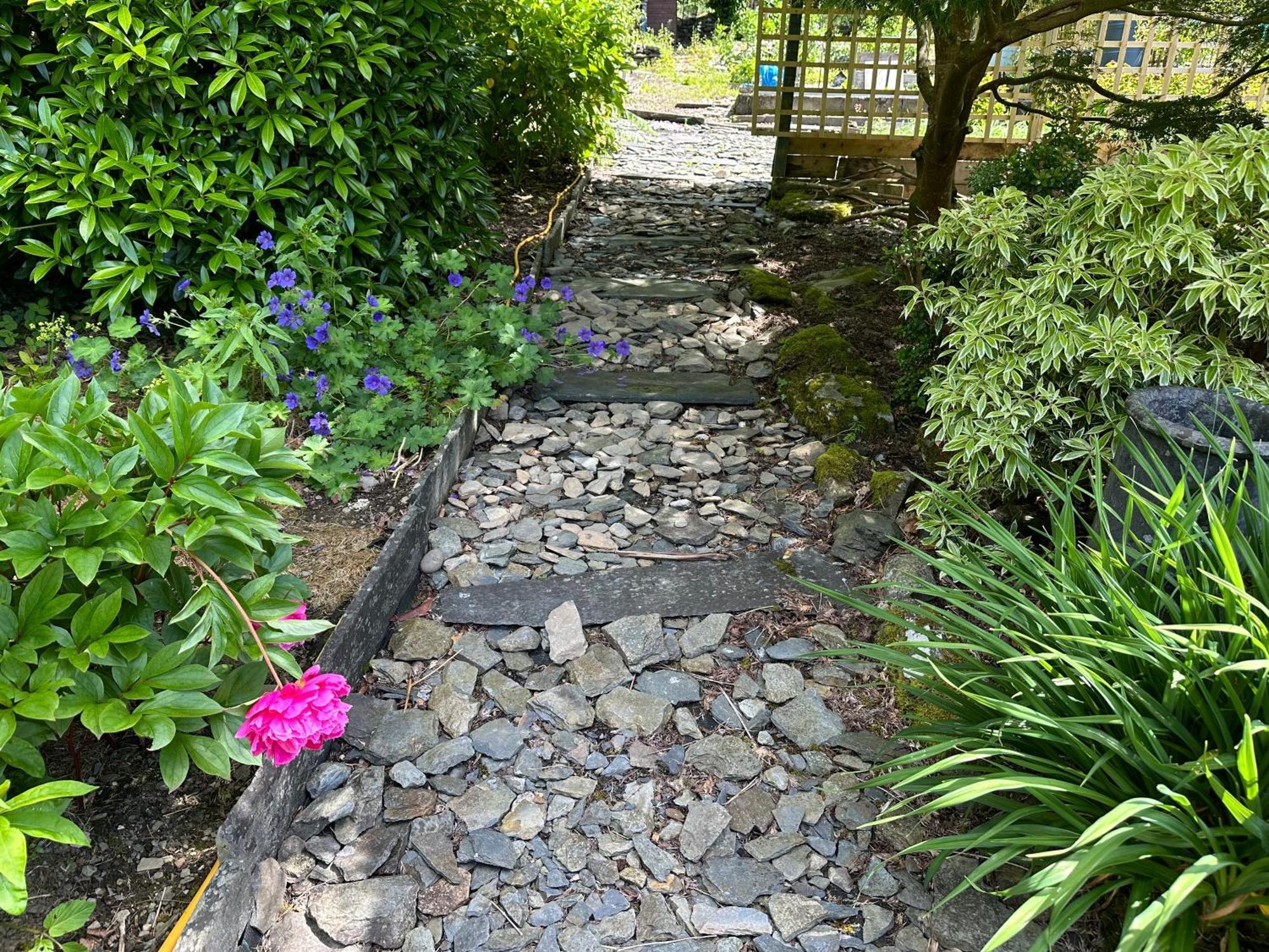 Tyn Y Fron 6 Bedroom House In Betws-Y-Coed Snowdonia 외부 사진
