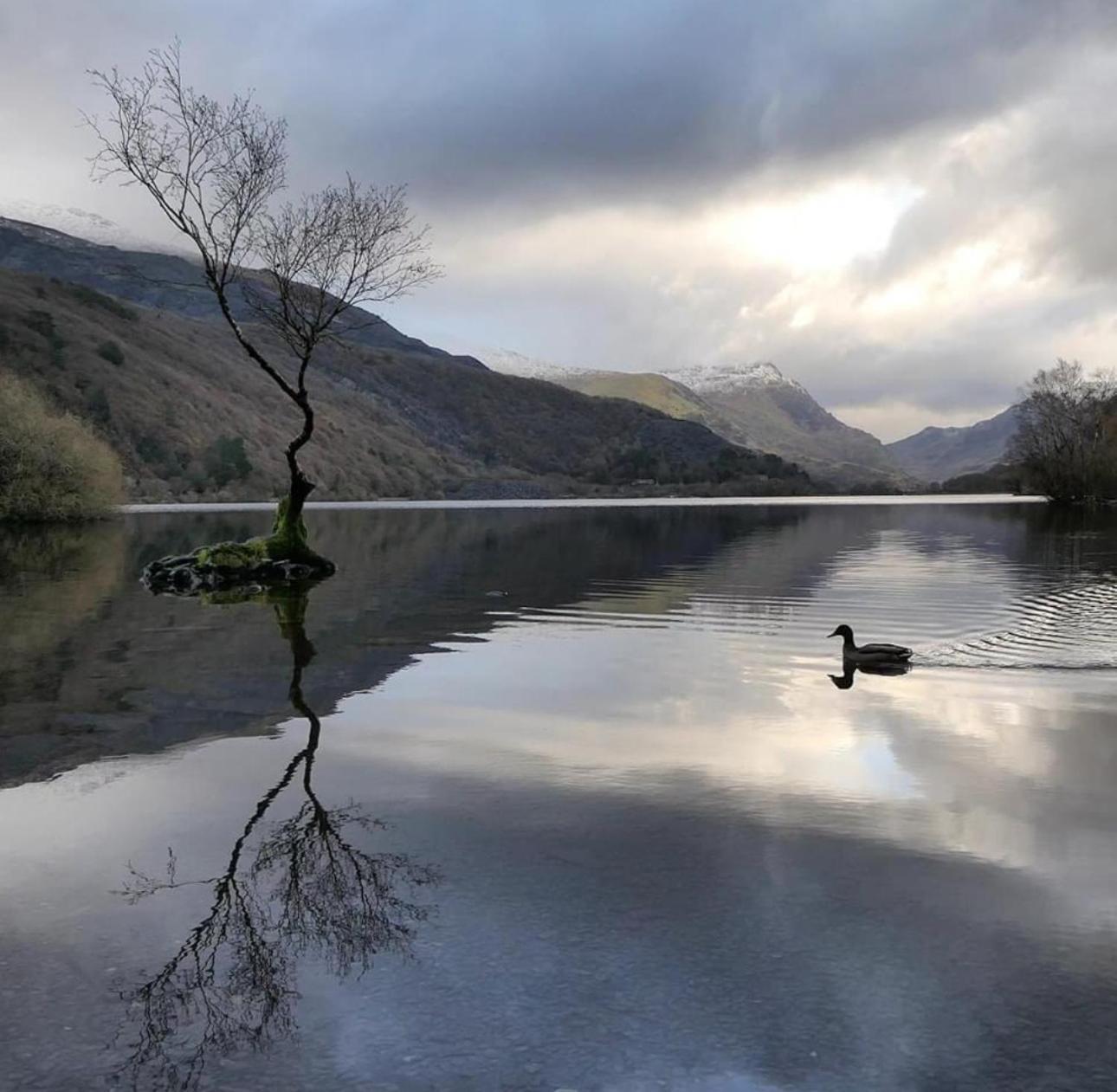 Tyn Y Fron 6 Bedroom House In Betws-Y-Coed Snowdonia 외부 사진