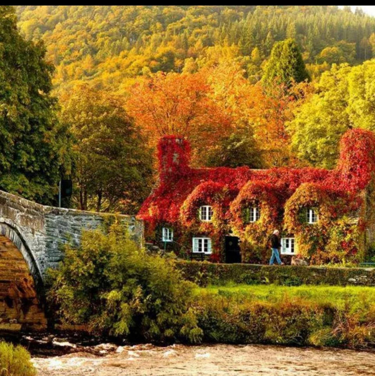 Tyn Y Fron 6 Bedroom House In Betws-Y-Coed Snowdonia 외부 사진